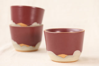 Sale: 12 oz Latte Cup (Past Season Colorways)