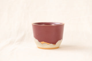 Sale: 12 oz Latte Cup (Past Season Colorways)