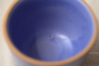 Discounted Seconds: 12 oz Latte Cup
