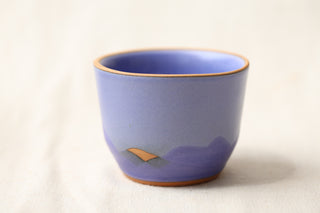 Discounted Seconds: 12 oz Latte Cup
