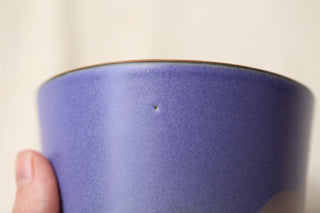 Discounted Seconds: 12 oz Latte Cup
