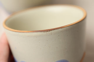 Discounted Seconds: 12 oz Latte Cup