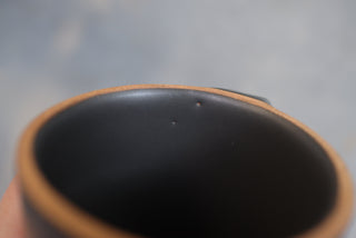 Discounted Seconds: Midnight Fox 12 oz Classic Mug