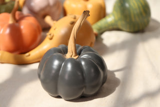 Pumpkins and Gourds