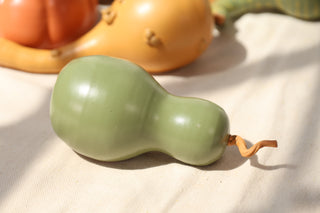 Pumpkins and Gourds