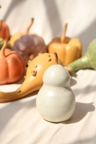 Pumpkins and Gourds