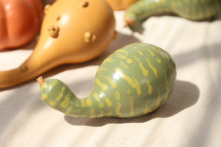 Pumpkins and Gourds