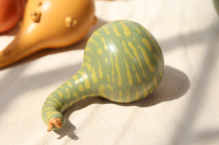 Pumpkins and Gourds