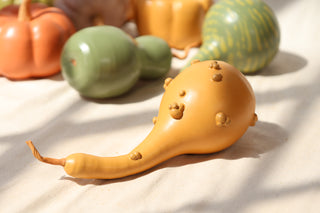 Pumpkins and Gourds
