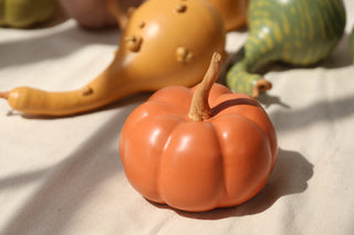 Pumpkins and Gourds