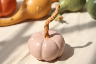 Pumpkins and Gourds