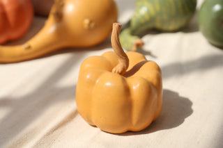 Pumpkins and Gourds
