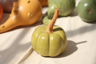 Pumpkins and Gourds
