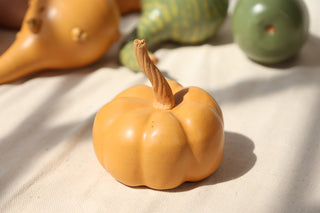 Pumpkins and Gourds
