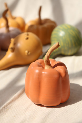 Pumpkins and Gourds
