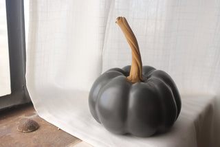 Pumpkin in Black