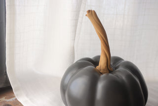 Pumpkin in Black