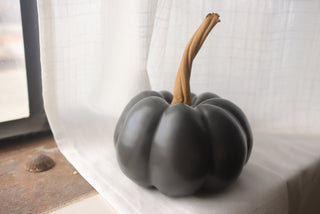 Pumpkin in Black