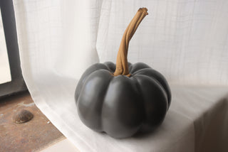 Pumpkin in Black