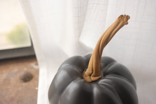 Pumpkin in Black