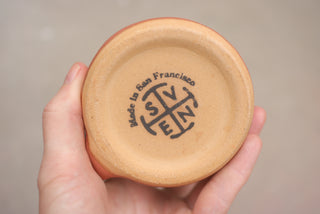 Midnight Fox 12 oz Mug 051