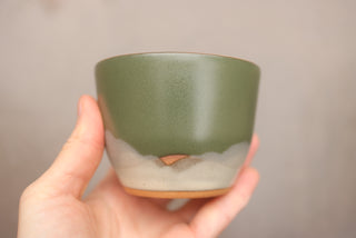 6 oz Cedar Cappuccino Cup