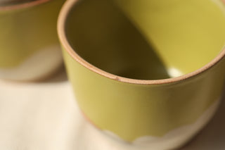 Discounted Seconds: 12 oz Latte Cup
