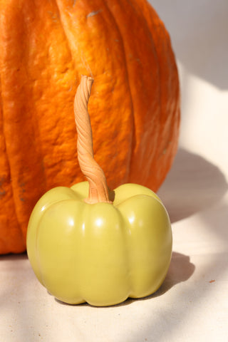 Pumpkins and Gourds