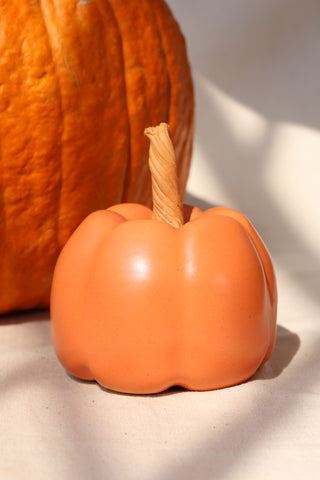 Pumpkins and Gourds