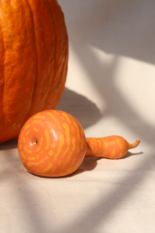 Pumpkins and Gourds