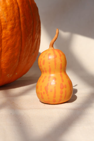 Pumpkins and Gourds