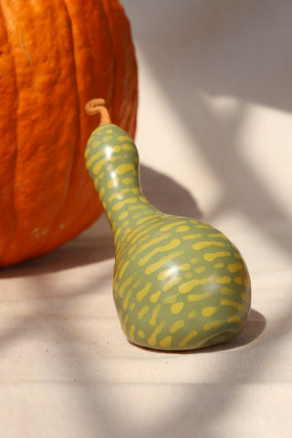 Pumpkins and Gourds