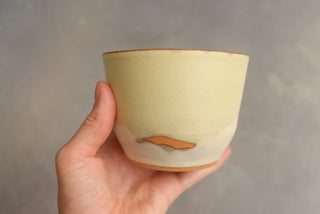 Discounted Seconds: Lemon Basil Cups