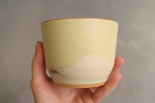 Discounted Seconds: Lemon Basil Cups