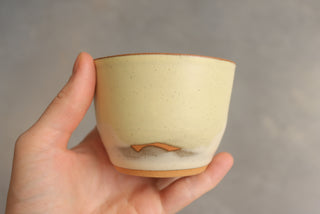 Discounted Seconds: Lemon Basil Cups