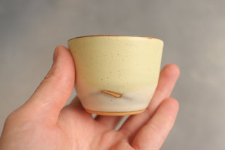 Discounted Seconds: Lemon Basil Cups