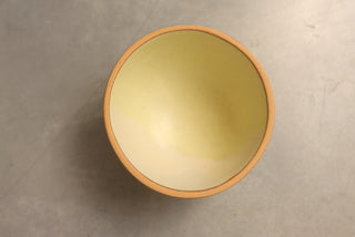 Discounted Seconds: Lemon Basil Bowl
