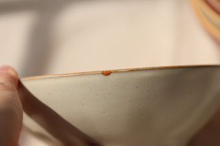 Discounted Seconds: Bowls